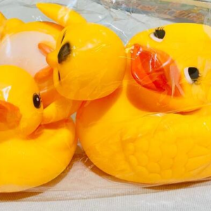 Children’s Toys Duck Chu Chu 3PCS