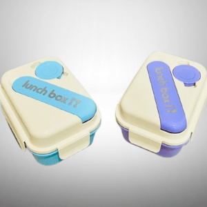 Stylish and Dual-compartment Lunch Box